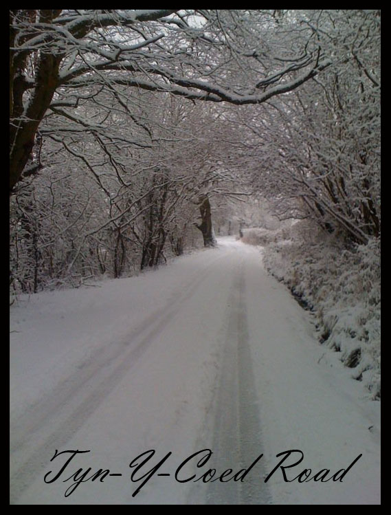 to Pentyrch Boarding Kennels